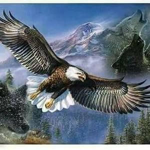 Meet your Posher, Eddy